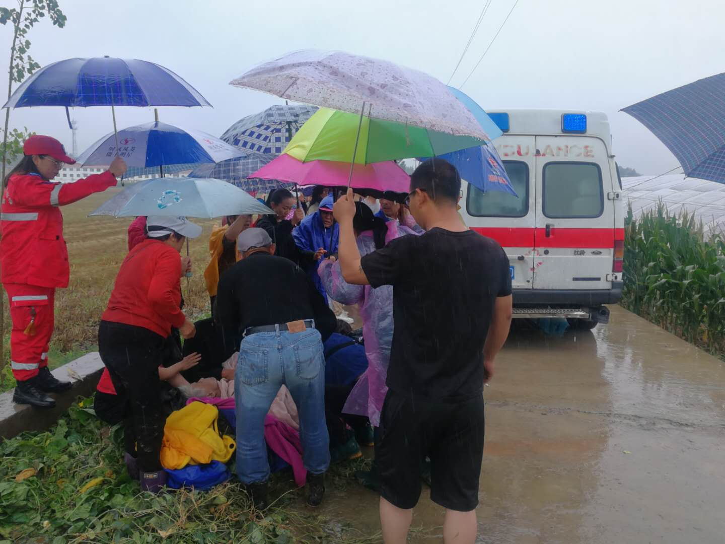 风雨同舟 共渡难关