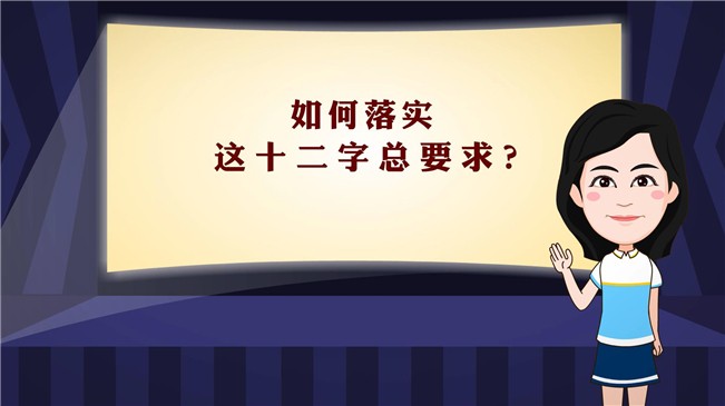 如何落实这十二字总要求？