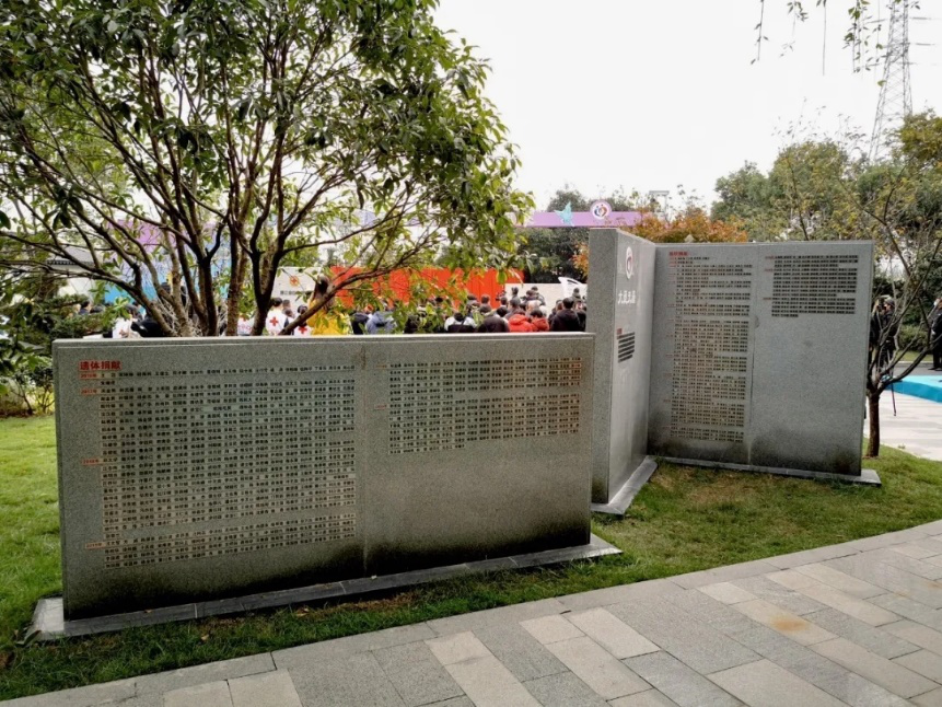 图片20.png 图片20.png