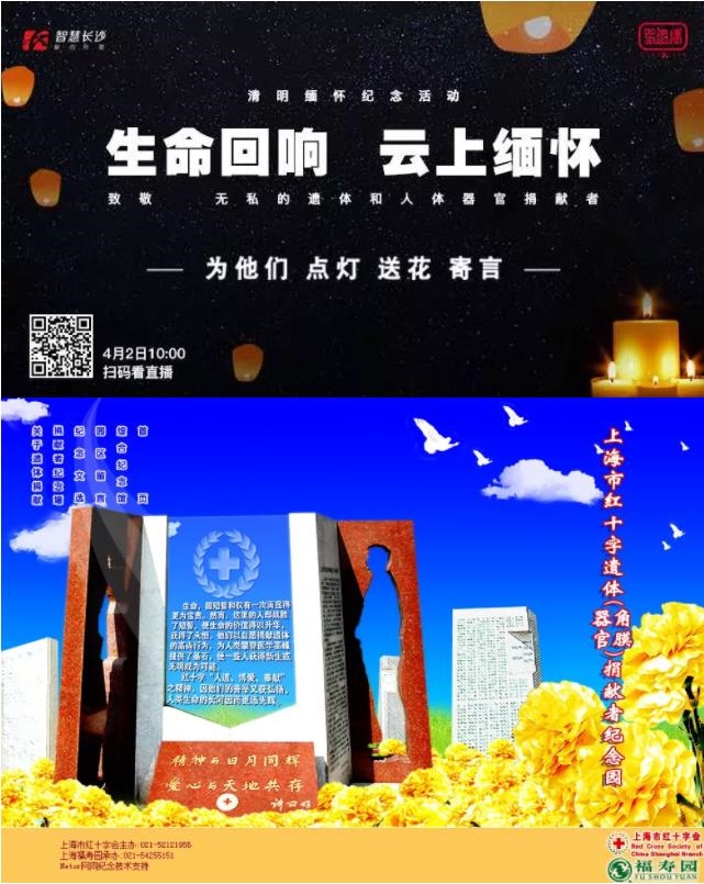 图片35.jpg 图片35.jpg