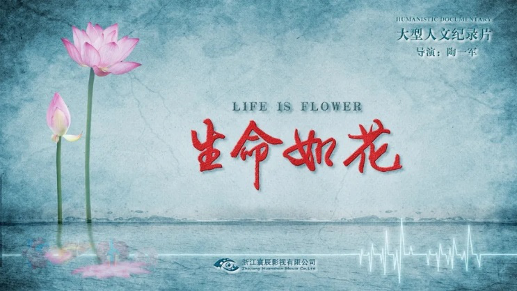 图片39.png 图片39.png
