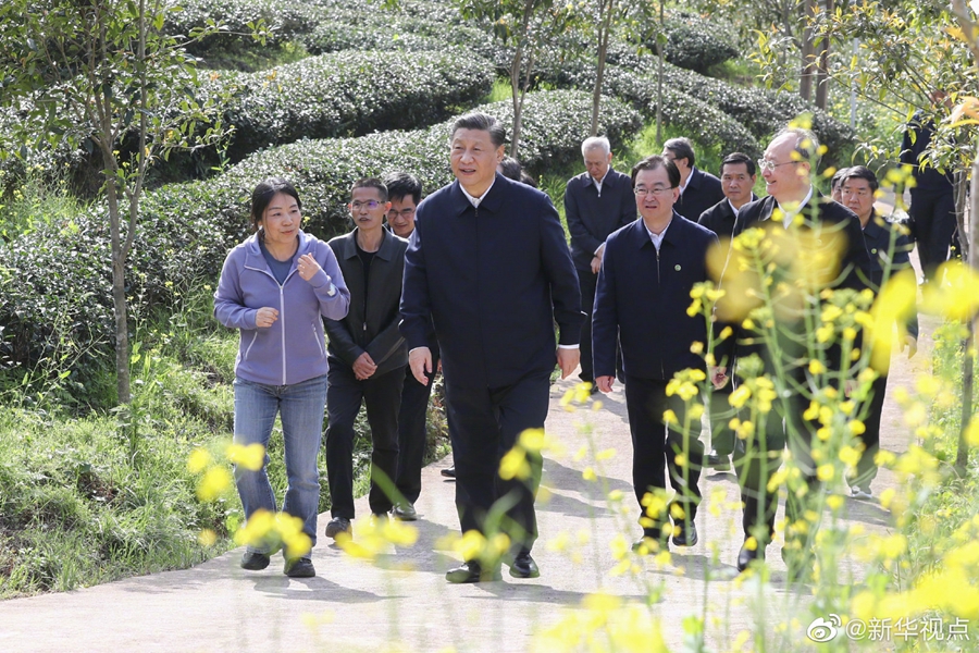 考察-3.jpg 考察-3.jpg
