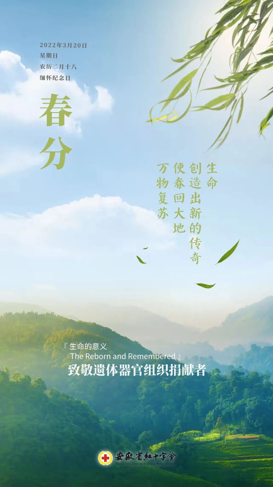 图片8.jpg