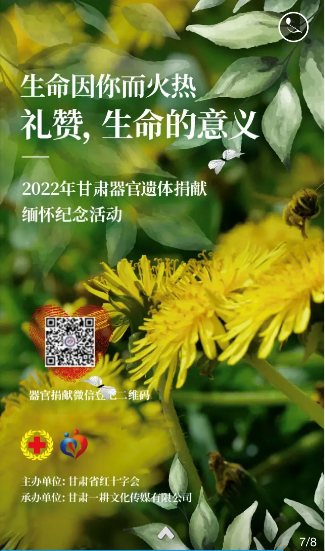 图片9.jpg 图片9.jpg