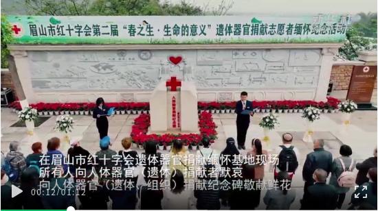 图片5.jpg 图片5.jpg