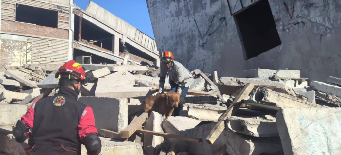 6.国家地震紧急救援训练基地 学员与搜救犬配合搜救.png