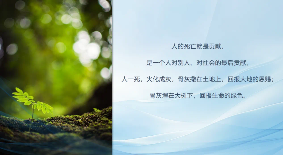 de4cb314746d89c4.png