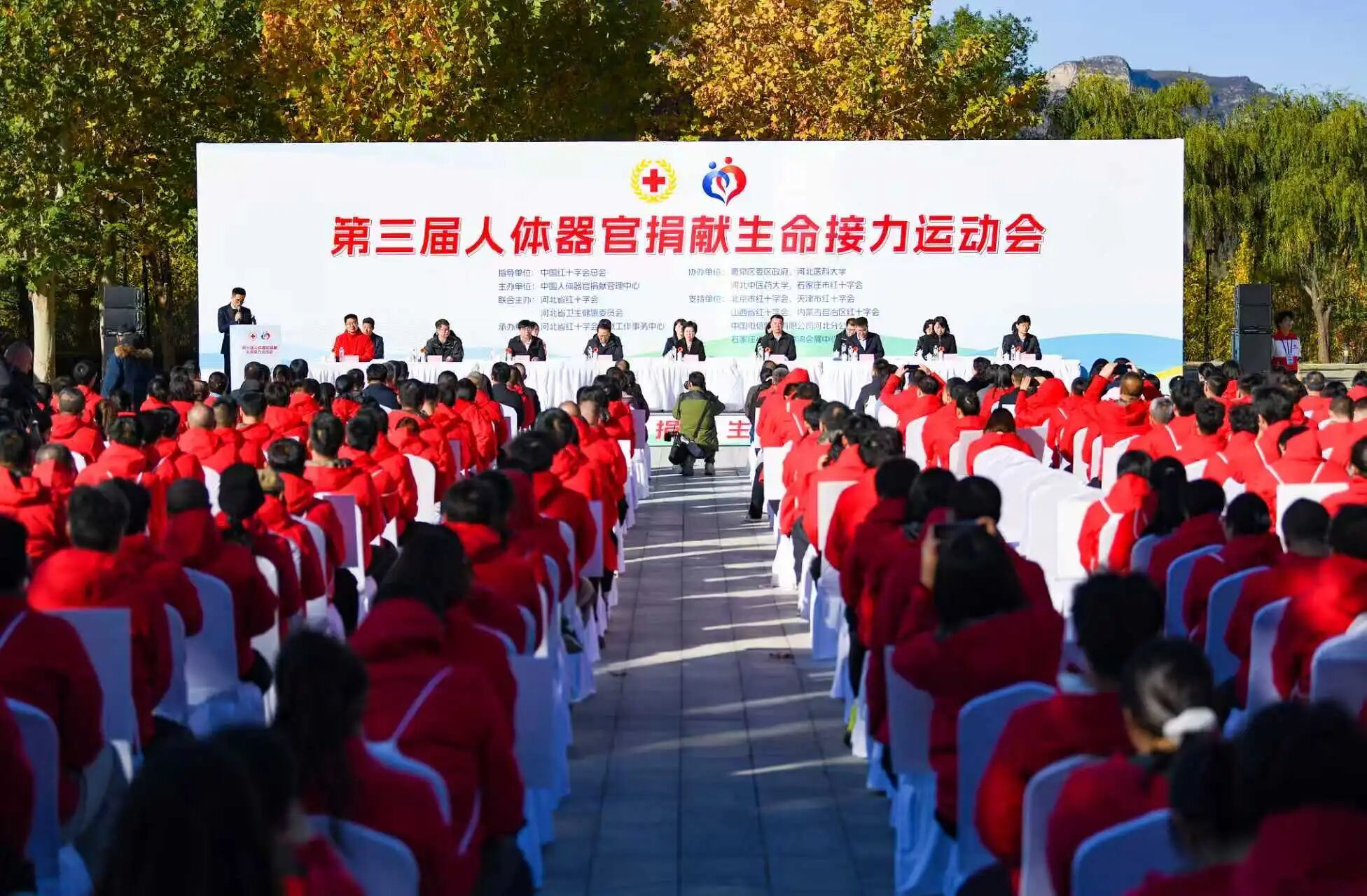 4b (9).jpg 4b (9).jpg